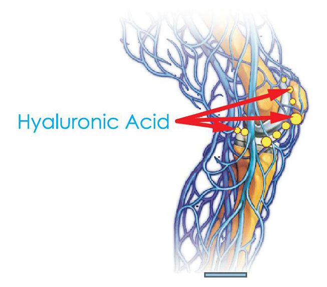 hyaluronic acid có tác dụng gì